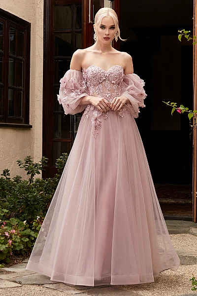 Ladivine Dress CD962