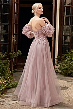 Ladivine Dress CD962