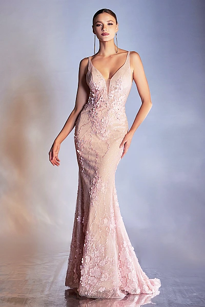 Ladivine Dress CDS403