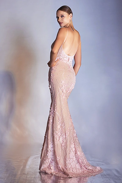 Ladivine Dress CDS403