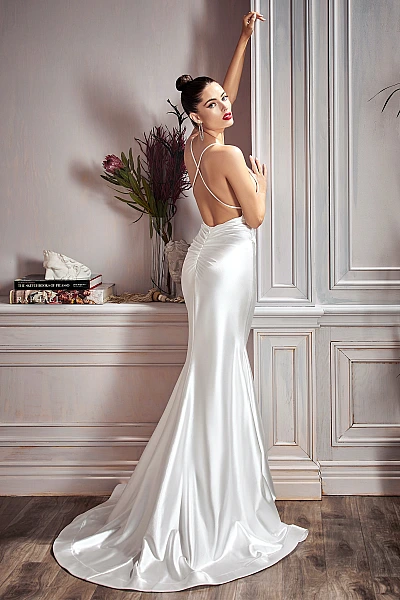 Ladivine Dress CH236W
