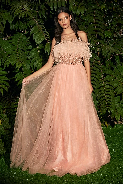 Ladivine Dress CR864