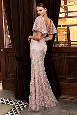 Ladivine Dress HT061