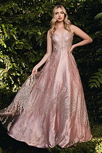 Cinderella Divine J819 Dress