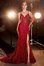 Ladivine Dress CC2167