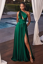 Ladivine Dress CD323