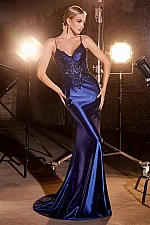 Ladivine Dress CDS450 Ladivine Dress CDS450