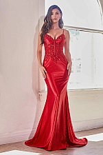 Ladivine Dress CDS450 Ladivine Dress CDS450