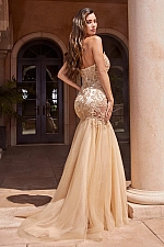 Ladivine Dress CDS482
