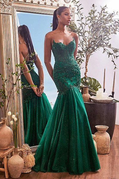 Ladivine Dress CDS482