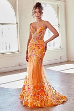 Ladivine Dress CK946