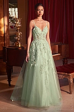 Ladivine Dress CM347 Ladivine Dress CM347