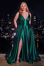 Ladivine Dress CC2349C