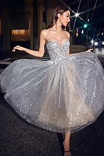Ladivine Dress CD871