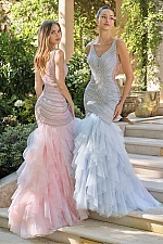 Andrea & Leo Dress A1493