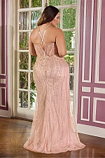 Ladivine Dress CC416C