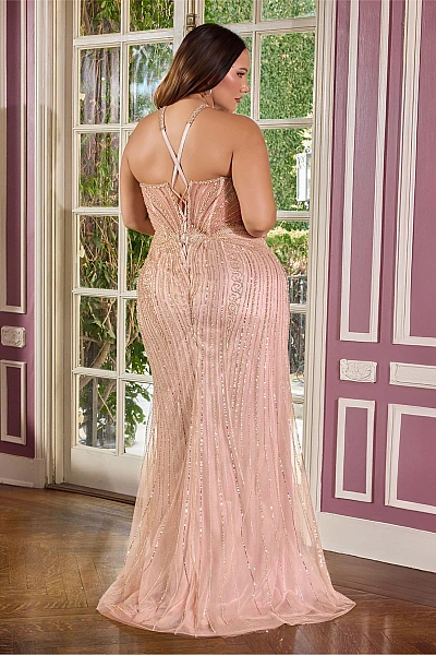 Ladivine Dress CC416C