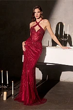 Ladivine Dress CC495