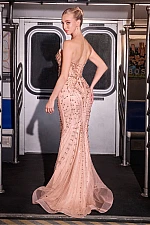 Ladivine Dress CC8262