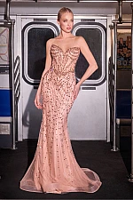 Ladivine Dress CC8262
