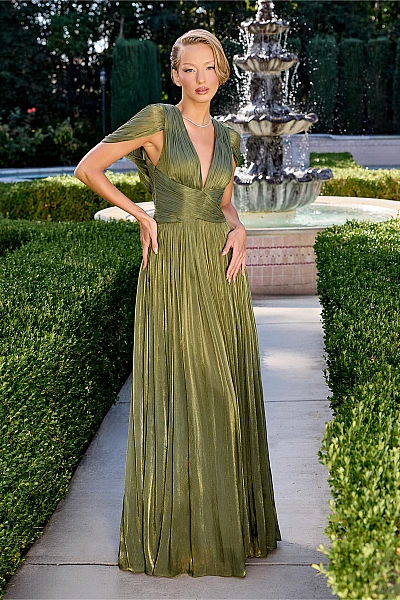 Ladivine Dress CD413