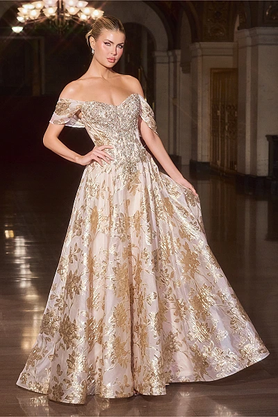 Ladivine Dress CD682
