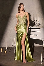 Ladivine Dress CDS556