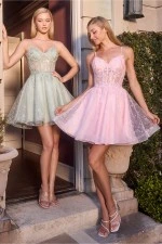 Ladivine Dress CJ419