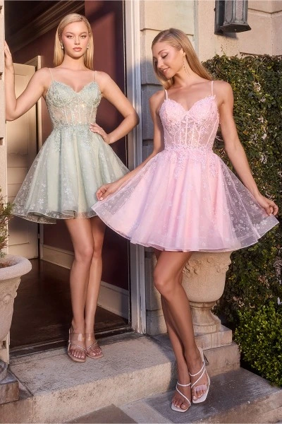 Ladivine Dress CJ419