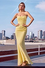 Amoris Dress T702