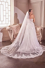 Ladivine Veil V004