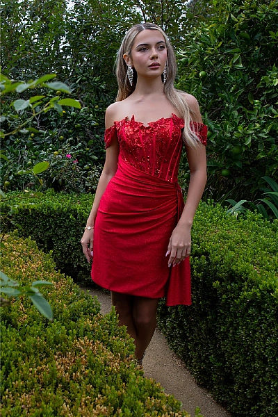Elizabeth K Dress GS3509