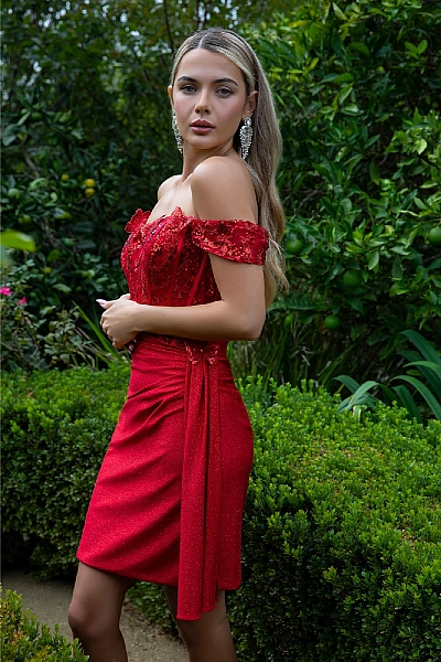Elizabeth K Dress GS3509