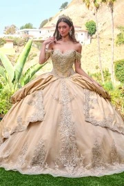 Elizabeth K Dress GL3810
