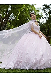 Quince Dress 26015