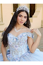 Quince Dress 26061