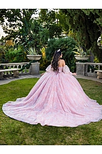 Quince Dress 26084