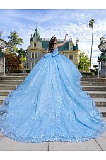Quince Dress 26086 Quince Dress 26086