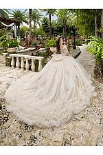 Quince Dress 26108