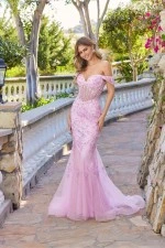 Juliet Dress JT2612N