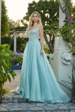 Juliet Dress JT2639G