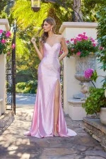 Juliet Dress JT2679R