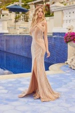 Juliet Dress JT2723C