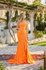 Juliet Dress JT2727H