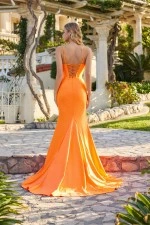 Juliet Dress JT2727H