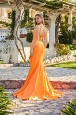 Juliet Dress JT2727H