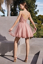Ladivine Dress CD0213