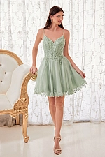 Ladivine Dress CD0213