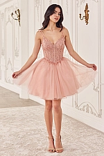 Ladivine Dress CD0236