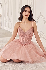 Ladivine Dress CD0236